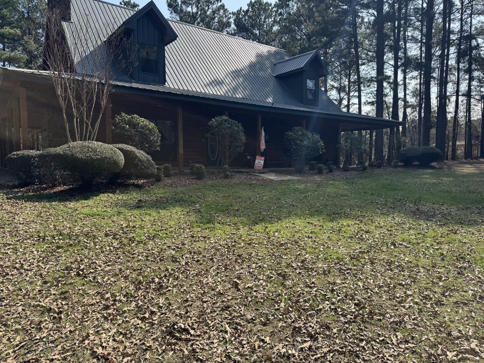 Before - log cabin yard covered in leaves with overgrown bushes