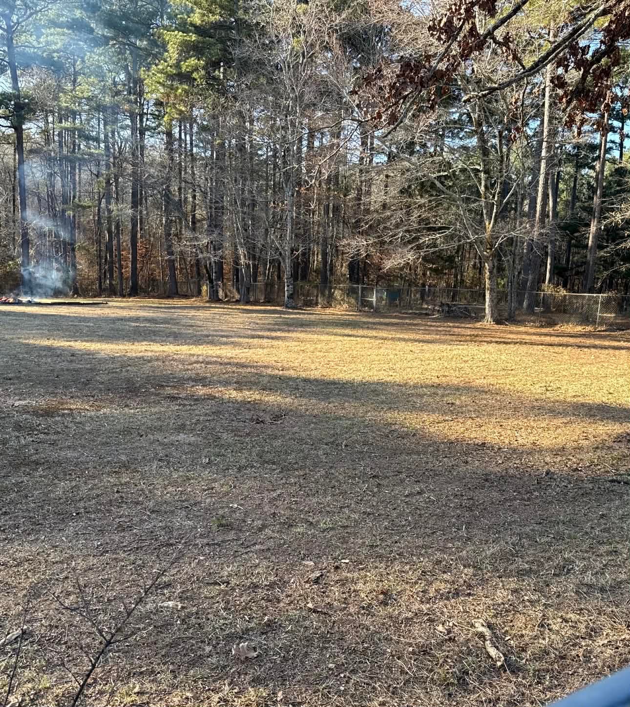 After - clean yard with leaves mulched